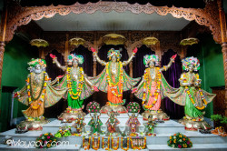 Daily Darshan