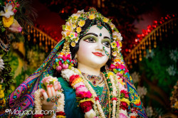 Daily Darshan