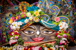 Daily Darshan