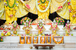 Daily Darshan
