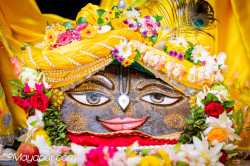 Daily Darshan