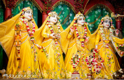 Daily Darshan