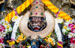 Daily Darshan