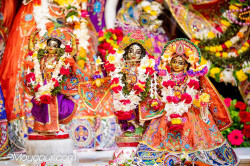 Daily Darshan