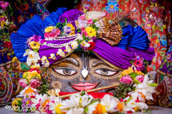Daily Darshan