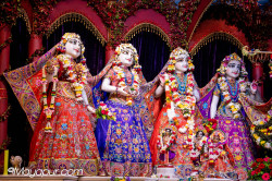 Daily Darshan