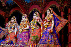 Daily Darshan