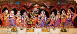Daily Darshan