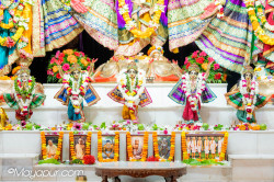 Daily Darshan