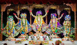 Daily Darshan