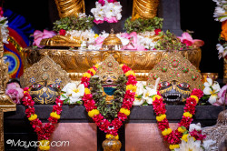 Daily Darshan