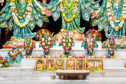 Daily Darshan