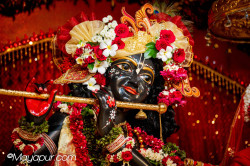 Daily Darshan