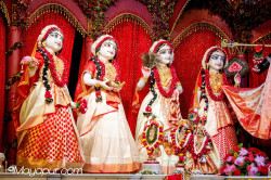 Daily Darshan