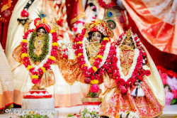 Daily Darshan