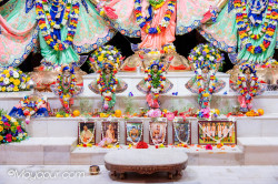 Daily Darshan
