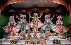 Daily Darshan