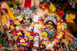 Daily Darshan