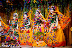 Daily Darshan