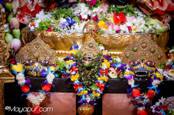 Daily Darshan