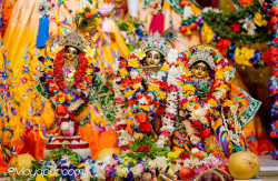 Daily Darshan