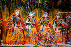 Daily Darshan