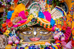 Daily Darshan