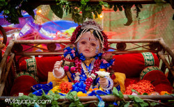 Daily Darshan