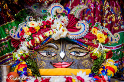 Daily Darshan