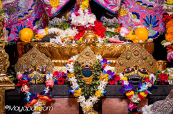 Daily Darshan