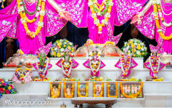Daily Darshan