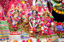 Daily Darshan