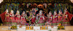 Daily Darshan