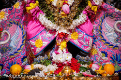 Daily Darshan