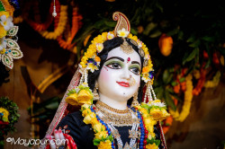 Daily Drashan