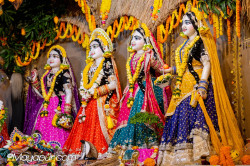 Daily Drashan