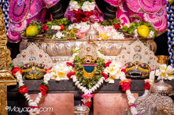 Daily Darshan
