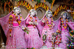 Daily Darshan