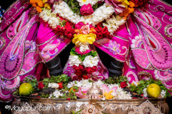 Daily Darshan