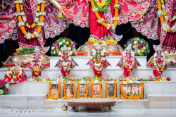 Daily Darshan