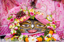 Daily Darshan