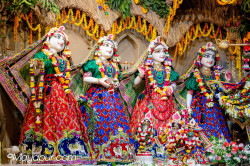 Daily Darshan