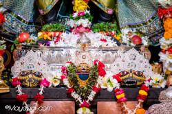 Daily Darshan