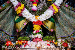 Daily Darshan