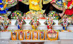 Daily Darshan
