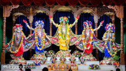 Daily Darshan