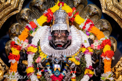 Daily Darshan
