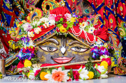 Daily Darshan