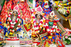 Daily Darshan