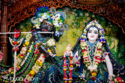 Daily Darshan
